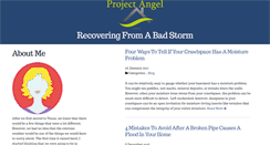 Desktop Screenshot of project-angel.com